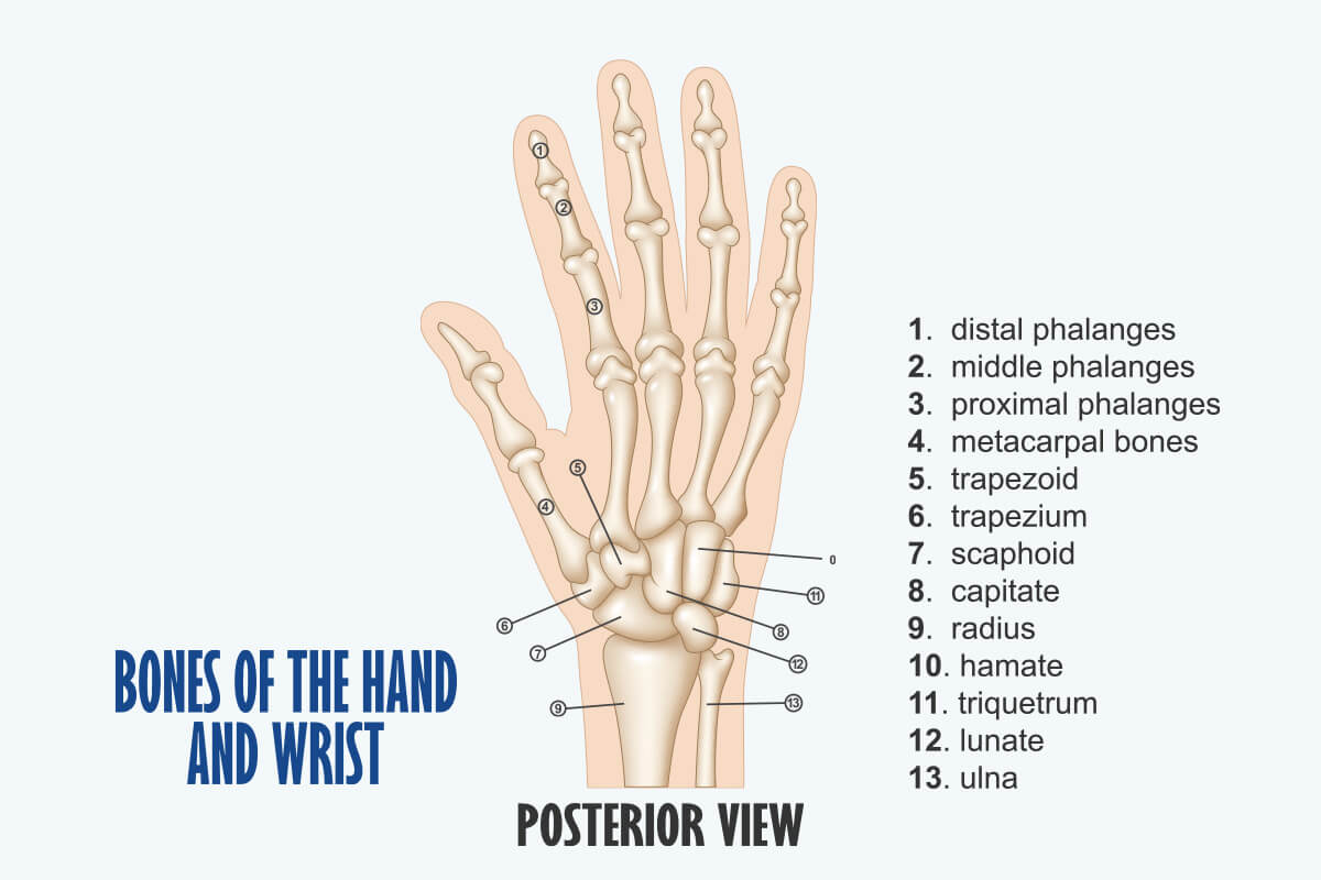 Understanding Wrist Pain What Does It Mean When Your Wrist Hurts